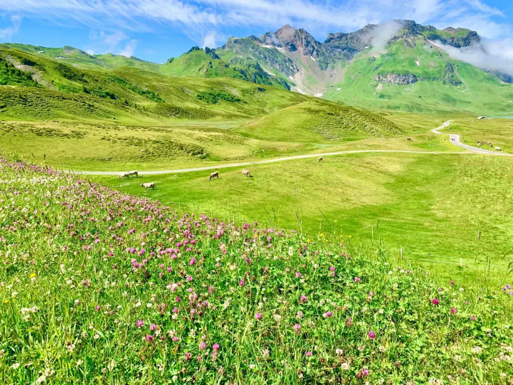 Hiking in Switzerland is an amazing way to take in the natural beauty!