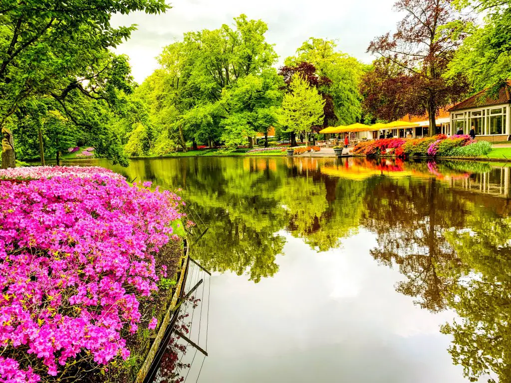 Keukenhof Gardens
