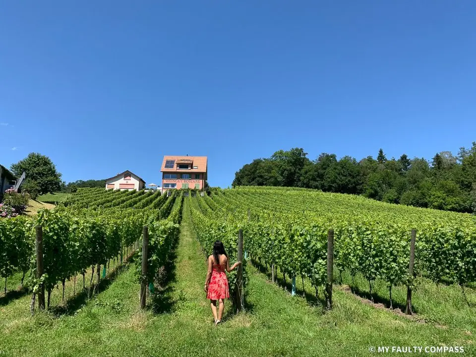 Along the walk from Villa Krämerstein to Seehotel Sternen in Horw