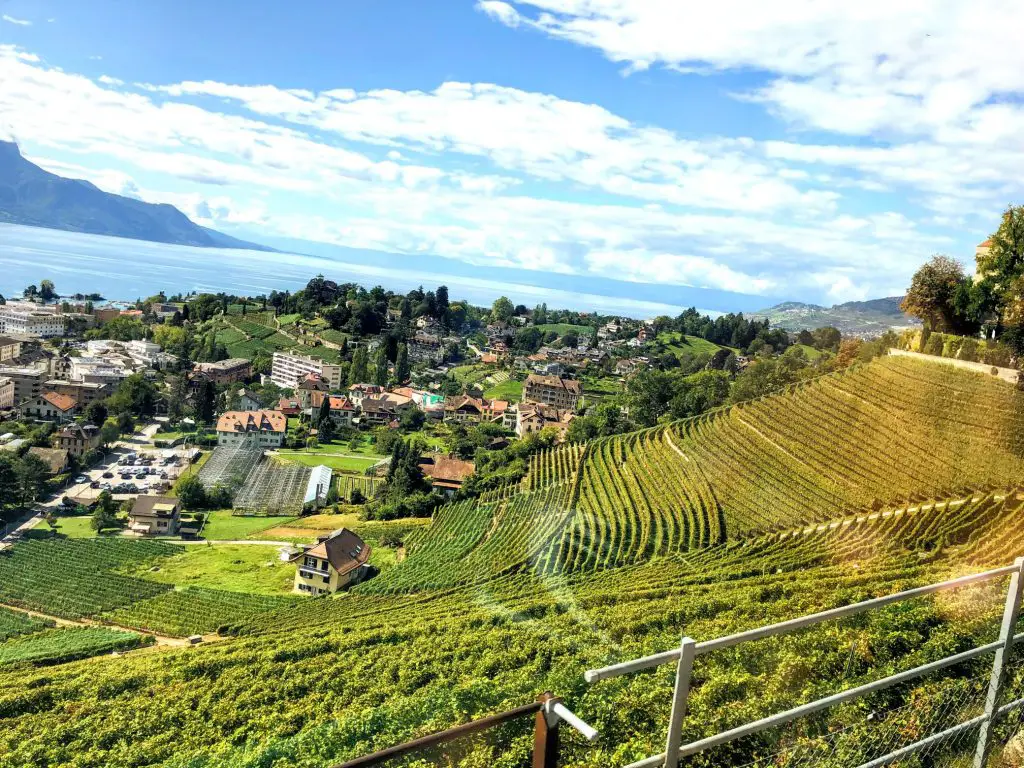 Montreux vineyards; Golden Pass train