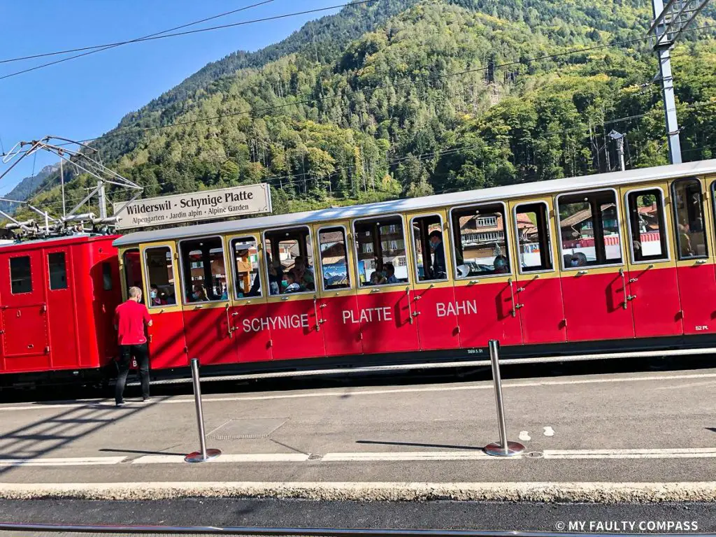 The Schynige Platte bahn at Wilderswil