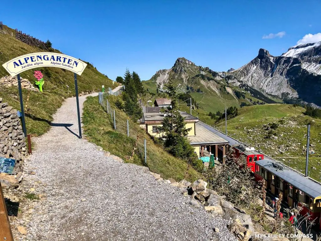 The Alpine Garden