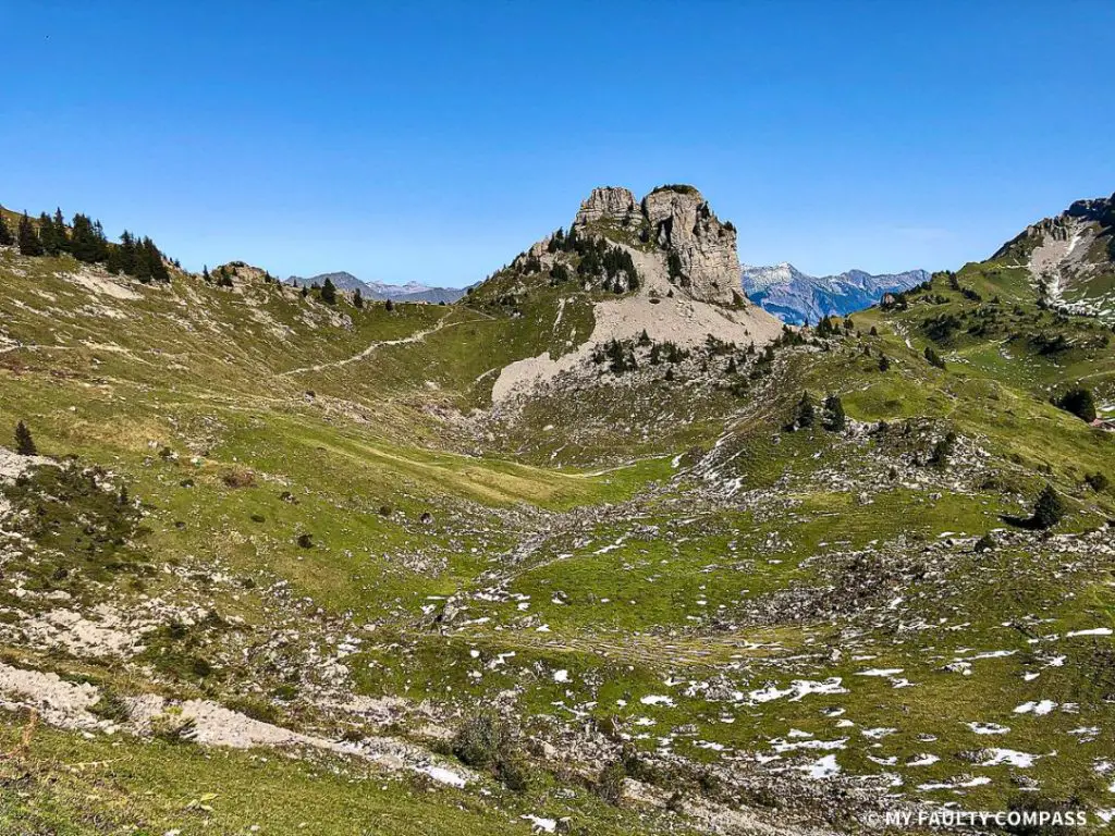 There are lots of beautiful walking trails at Schynige Platte