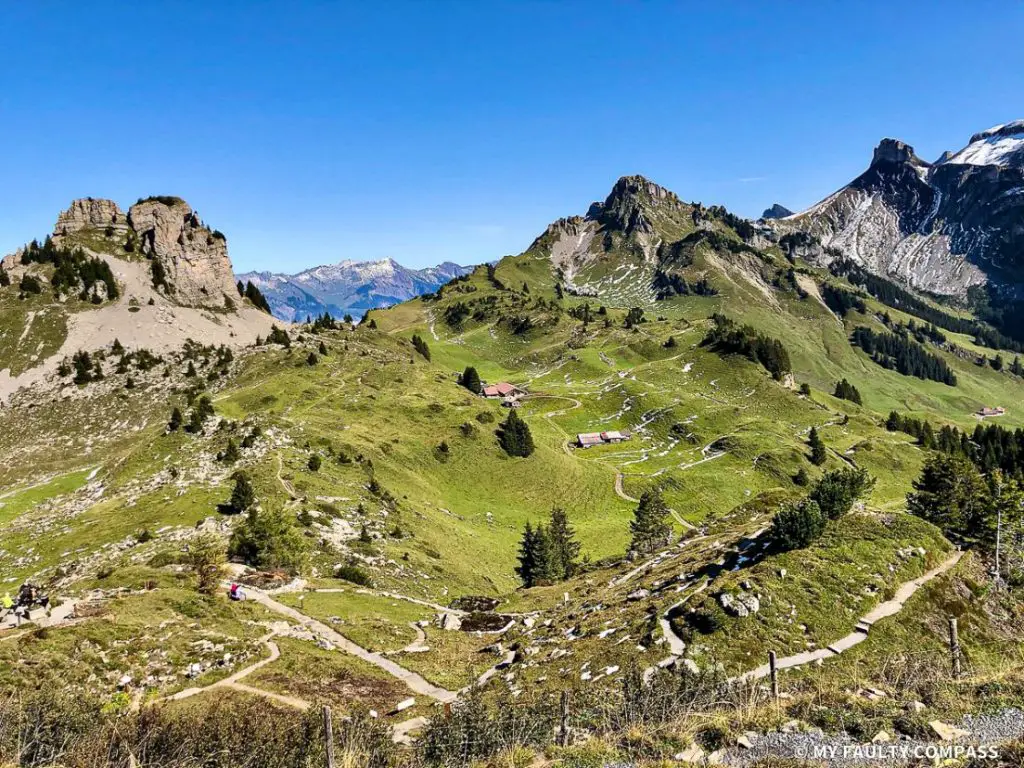 There are several hiking trails at Schynige Platte