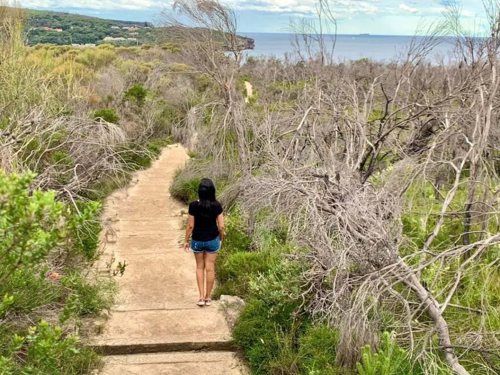 Spit to manly walk