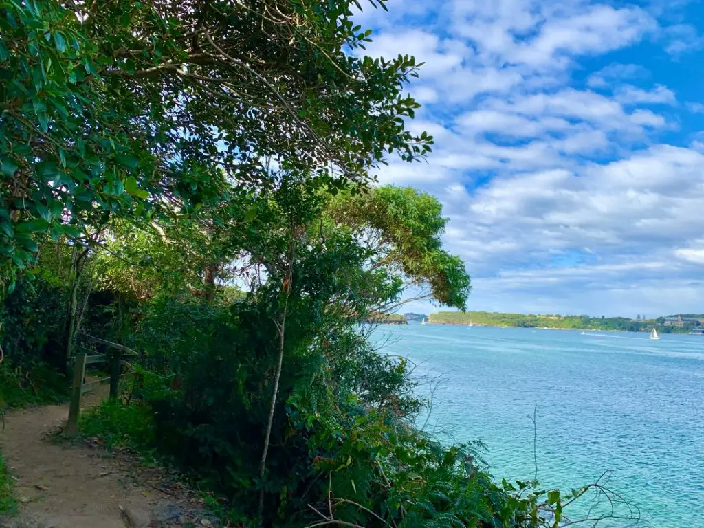 Spit to Manly Walk