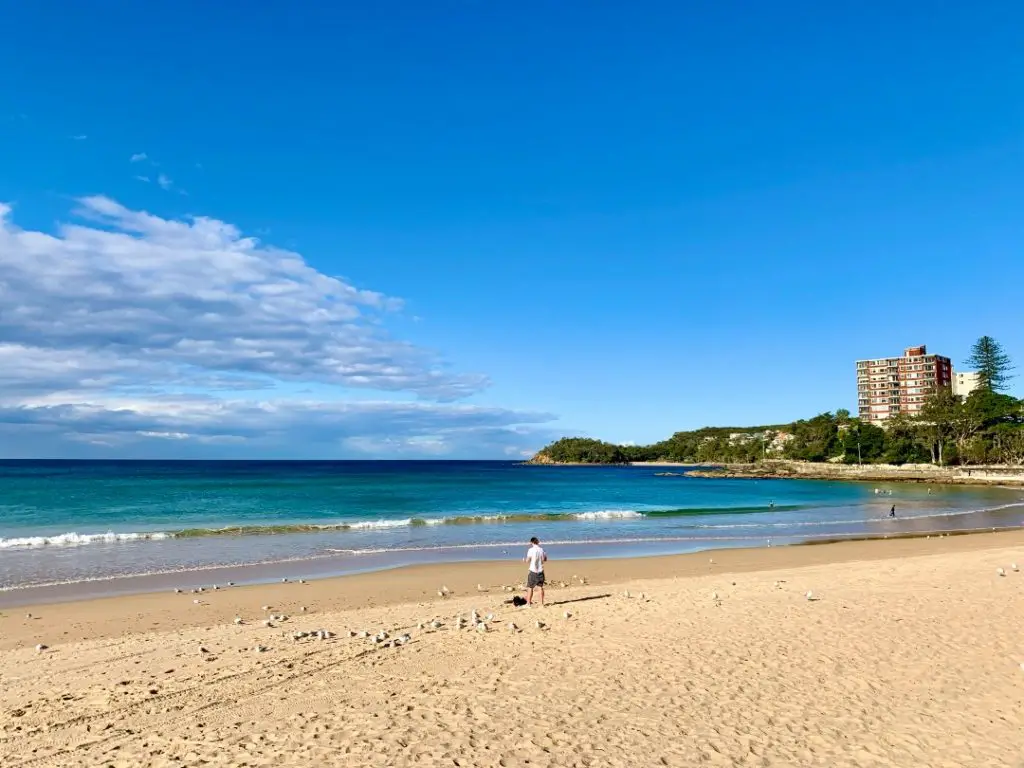 Manly Beach