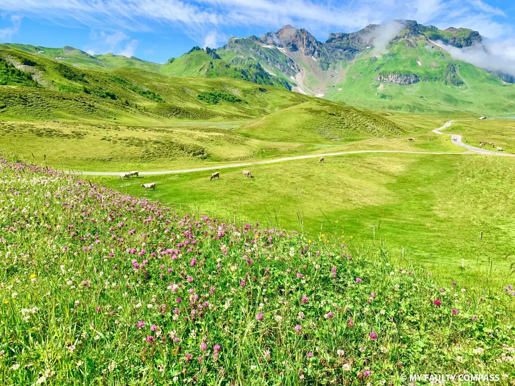 Visit during early summer for lush green fields and flowers