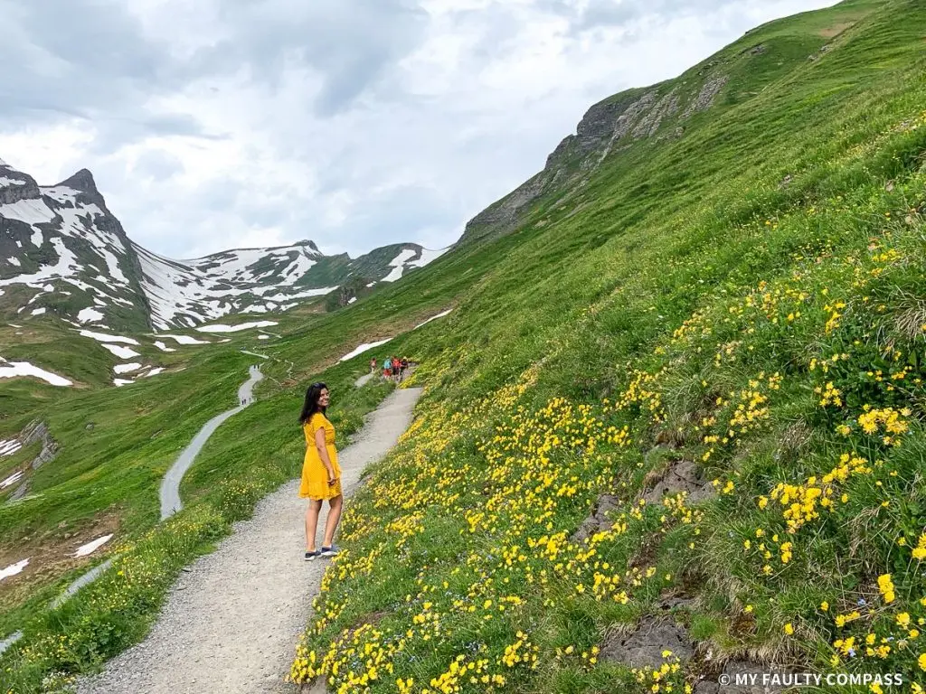 Hiking in June is perfect - flowers & green pastures, little hints of snow, and no crowds!